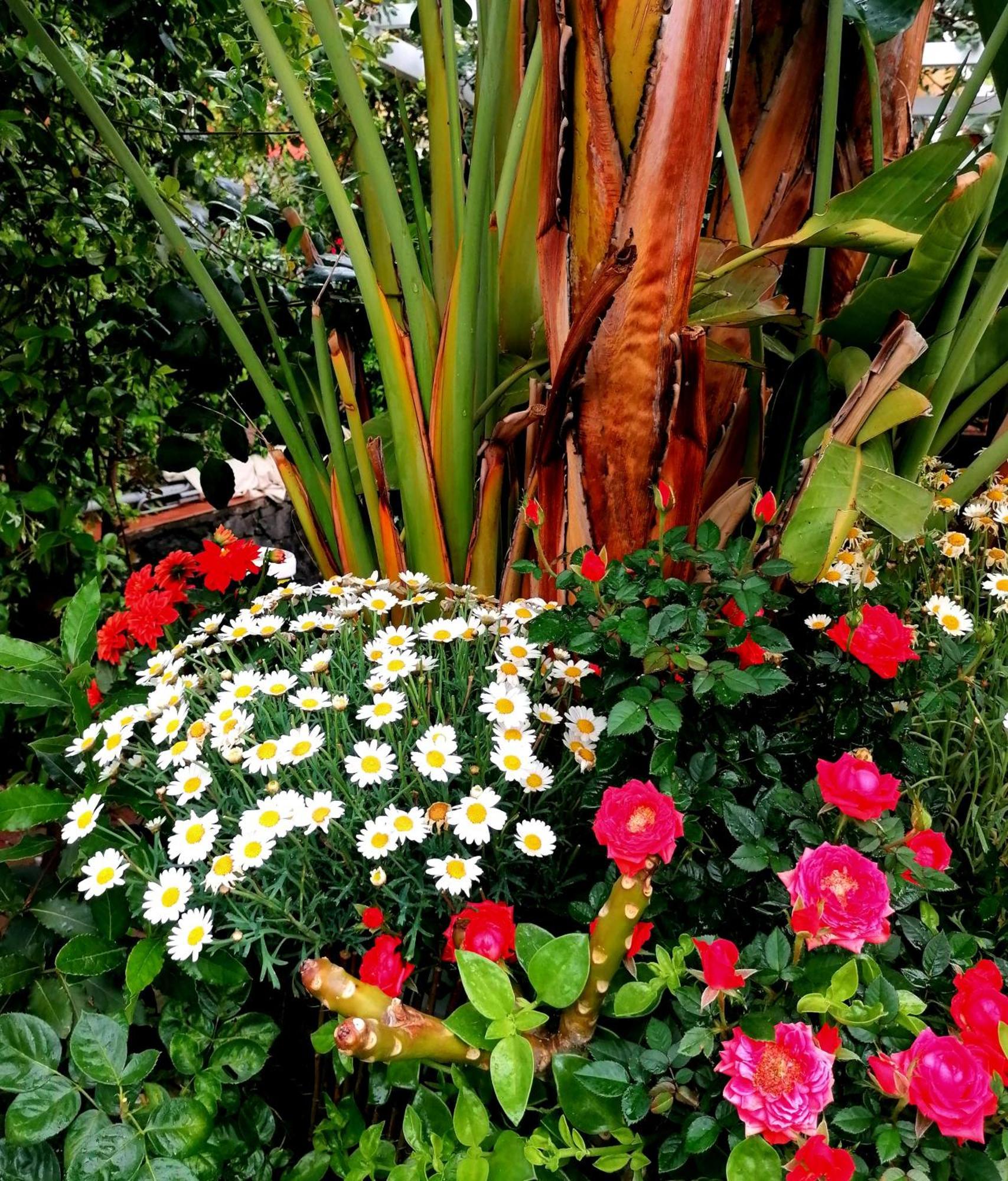 La Foresteria Garden Boutique B&B Catania Exterior photo